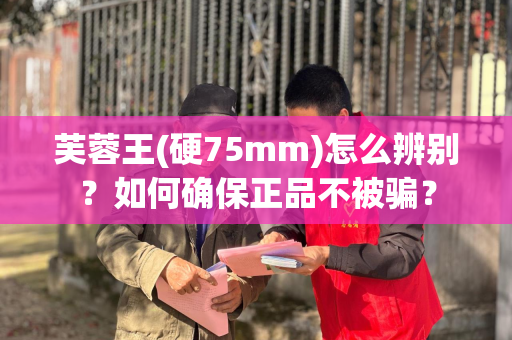 芙蓉王(硬75mm)怎么辨别？如何确保正品不被骗？